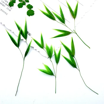 100 adet Preslenmiş Kurutulmuş Çiçek Bambu Yaprakları Bitkiler Herbaryum Epoksi Reçine Takı Yapımı İçin Çerçeve telefon kılıfı Zanaat DIY