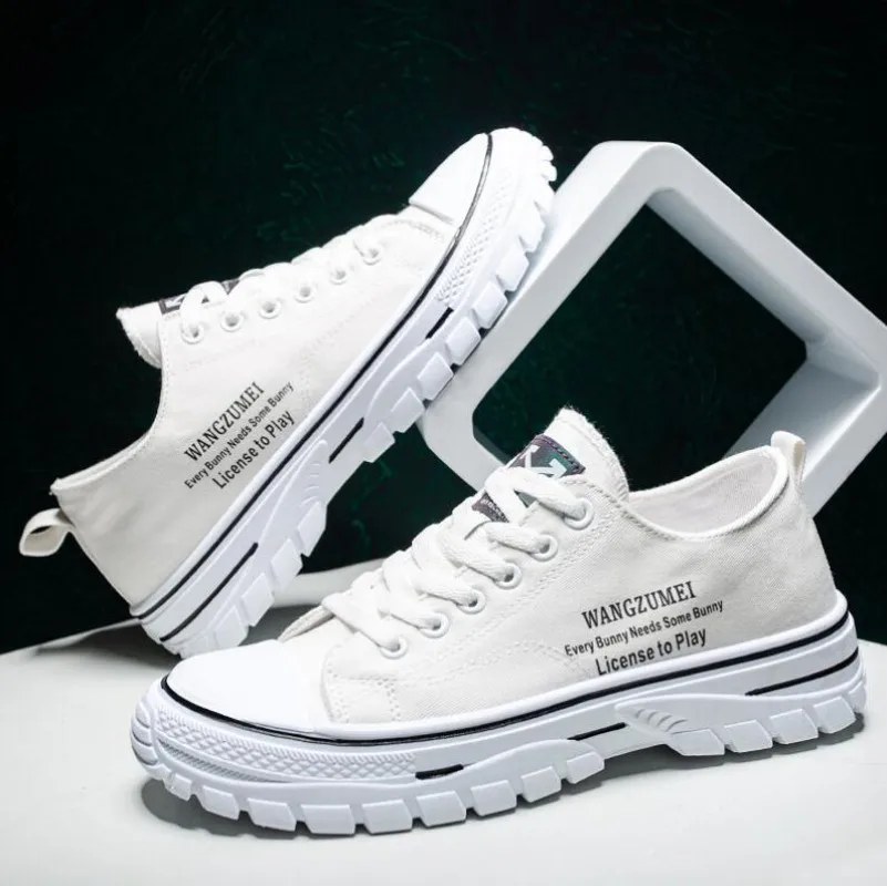 2023 Bahar Yeni Hafif Nefes Düşük top Sneakers Moda kanvas ayakkabılar Kore Versiyonu Trendi rahat erkek ayakkabıları - 2