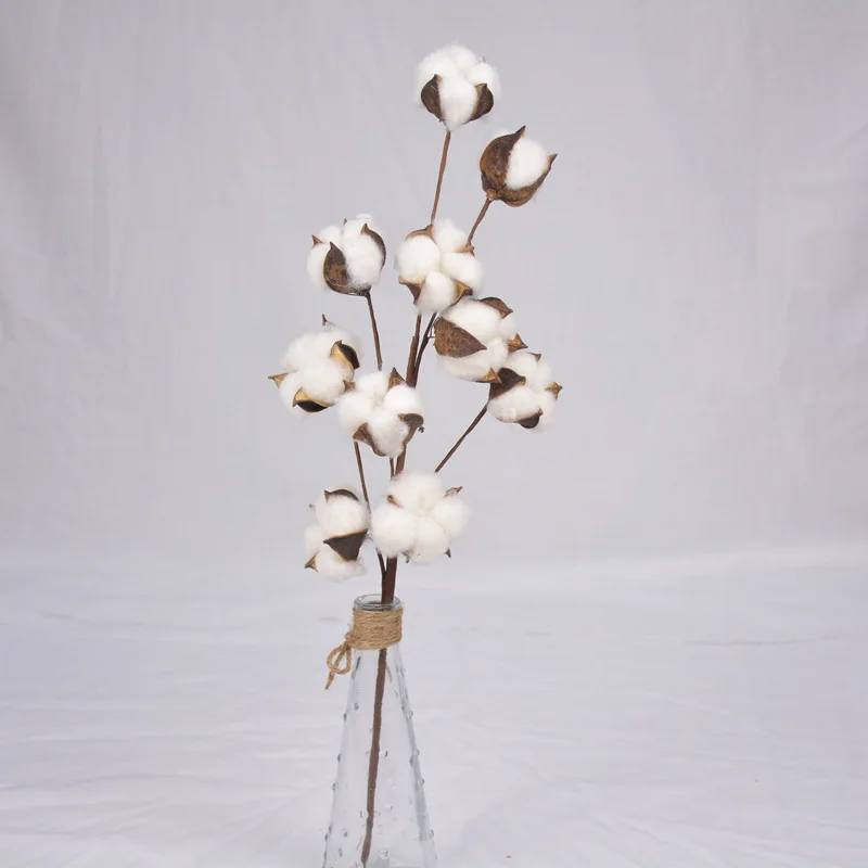 Ebedi Hayat Doğal Kurutulmuş Pamuk Çiçekler hediye Yapay Bitkiler Çiçek Şube Düğün Noel Partisi Dekorasyon ve Ev Dekor İçin - 3