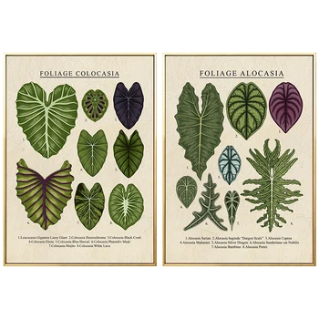 Yaprak Duvar Sanatı Yeşillik Colocasia Alocasia Bitkiler Posteri Tuval Boyama Oturma Odası için Ev Sergi Dekorasyon Resim