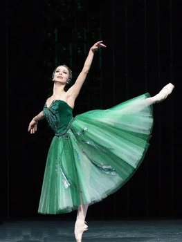 Çocuk Bale Etek Kuğu Gölü Performans Elbise Yeşil Kadife Uzun Bale Elbise Kız Bale Mayoları Kadınlar İçin Balerin Elbise
